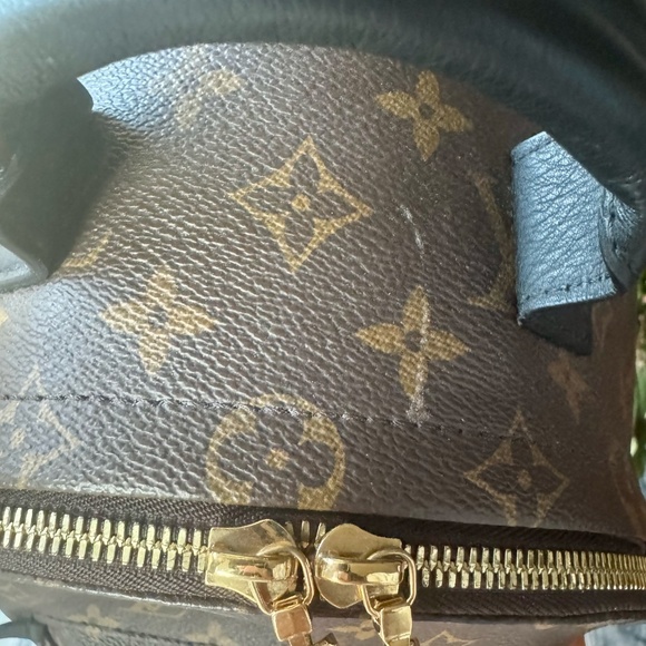 Louis Vuitton Palm Spring Backpack main image 11